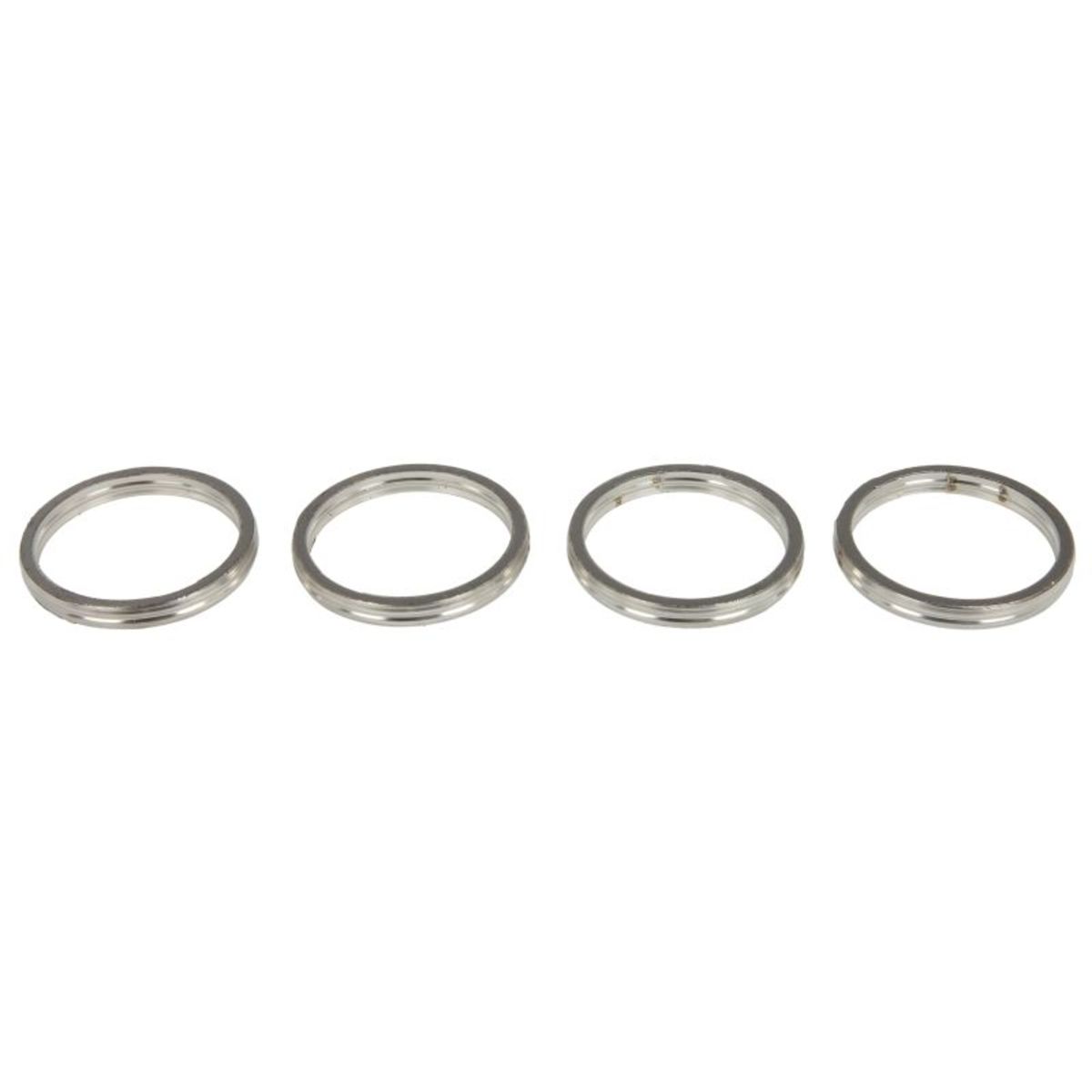 Abgasdichtung WINDEROSA W823032