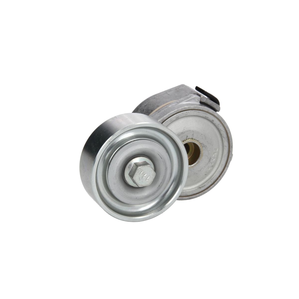 Image of Spanpoelie, V-riem