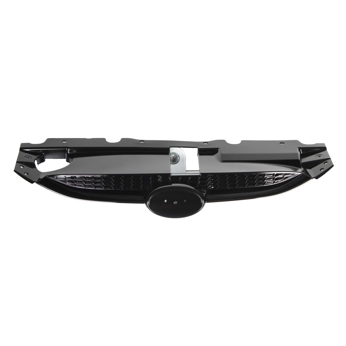 Blic Griglia Del Radiatore 6502-07-3176990P