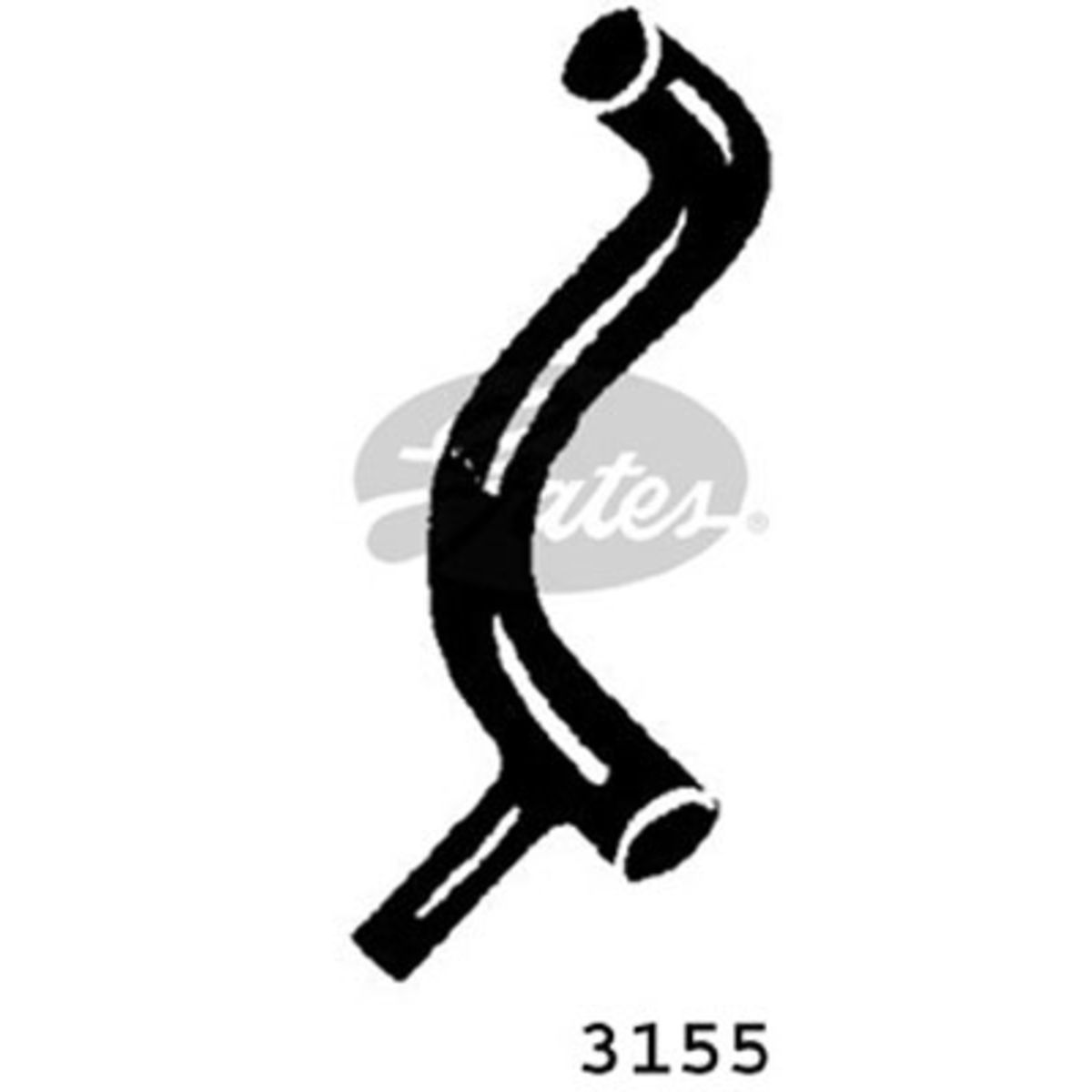 Image of Radiatorslang