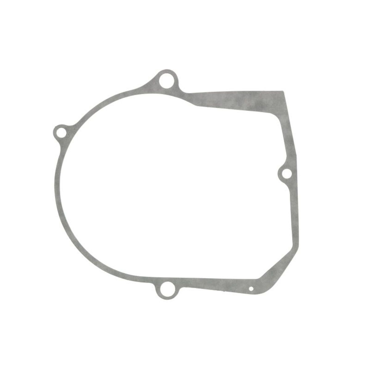 Generatordeckeldichtung WINDEROSA 816108
