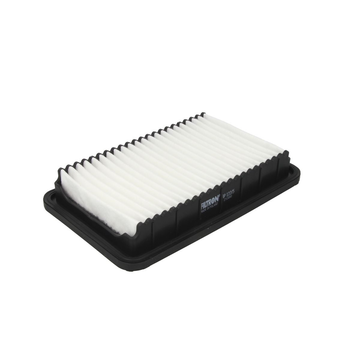 Filtron Filtro Aria Ap122/5