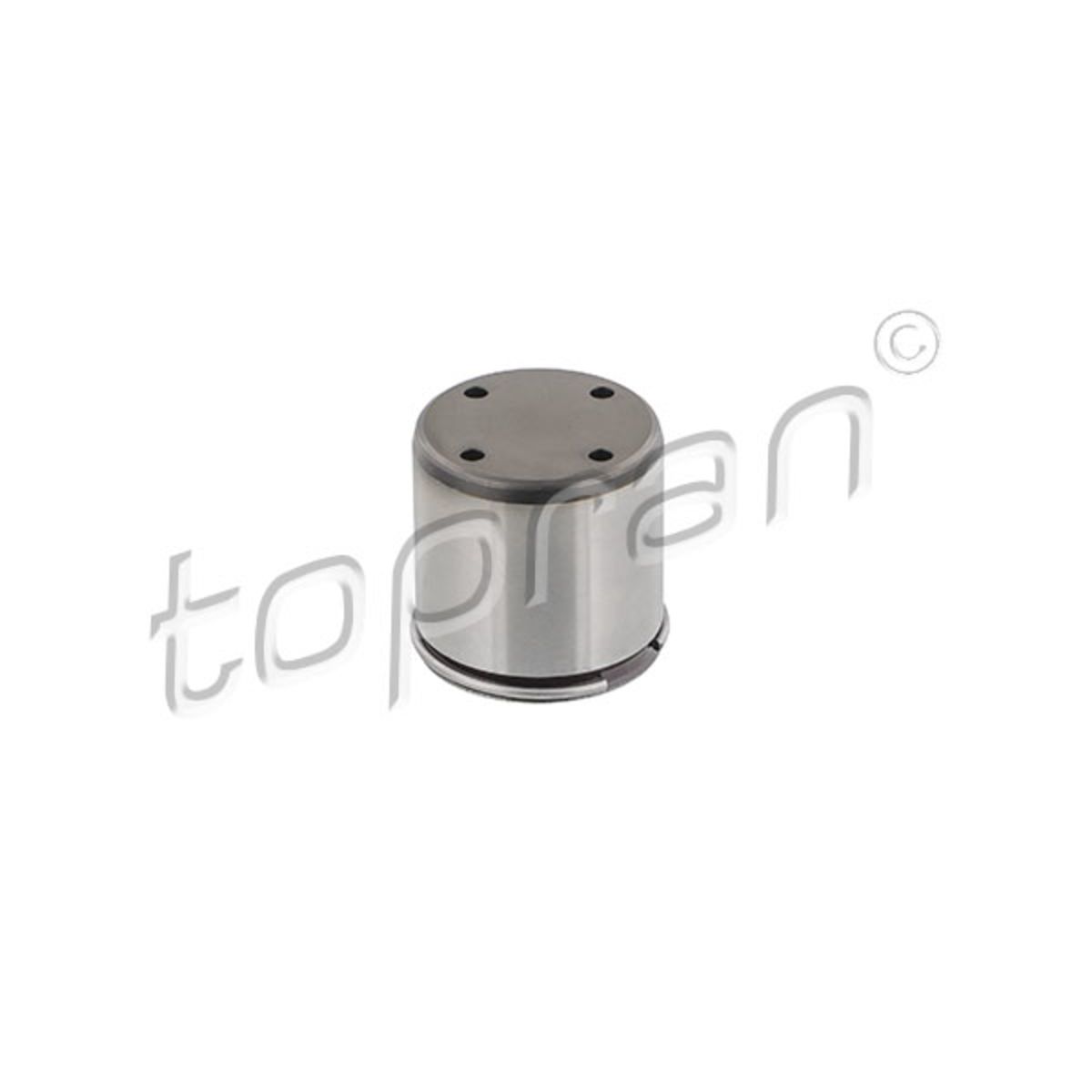 Image of Taster, hogedrukpomp