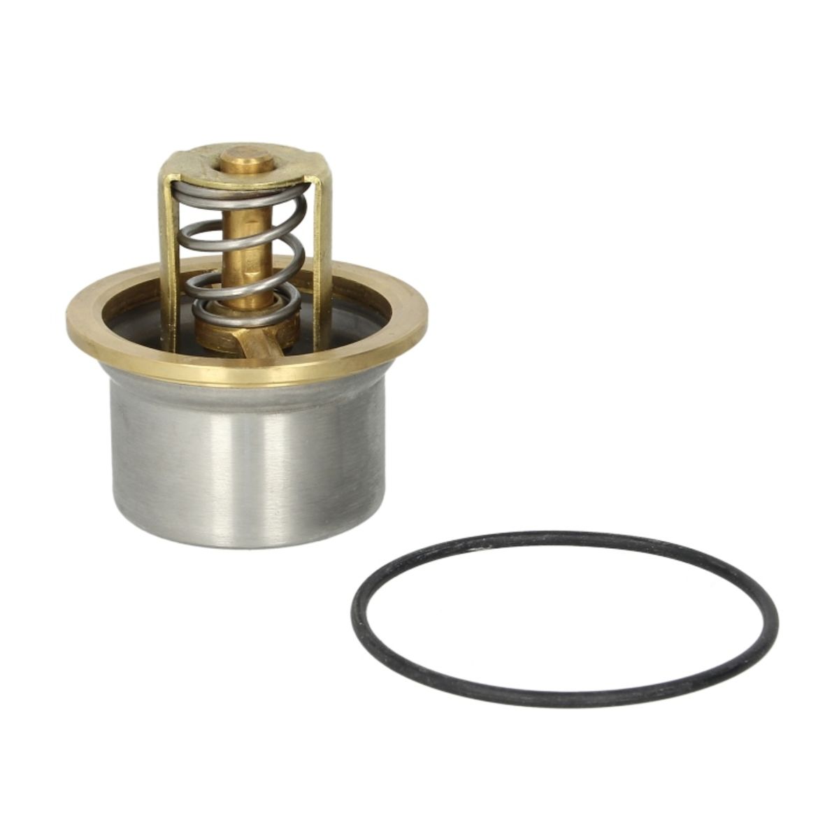 Thermostat d'eau WAHLER 4621.80D
