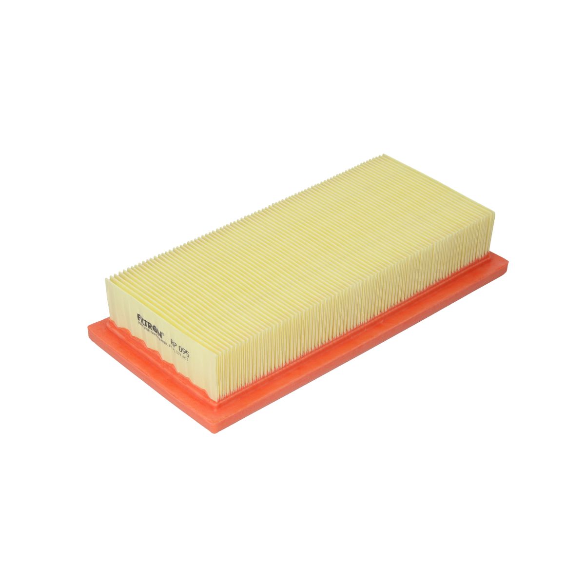 Filtron Filtro Aria Ap095