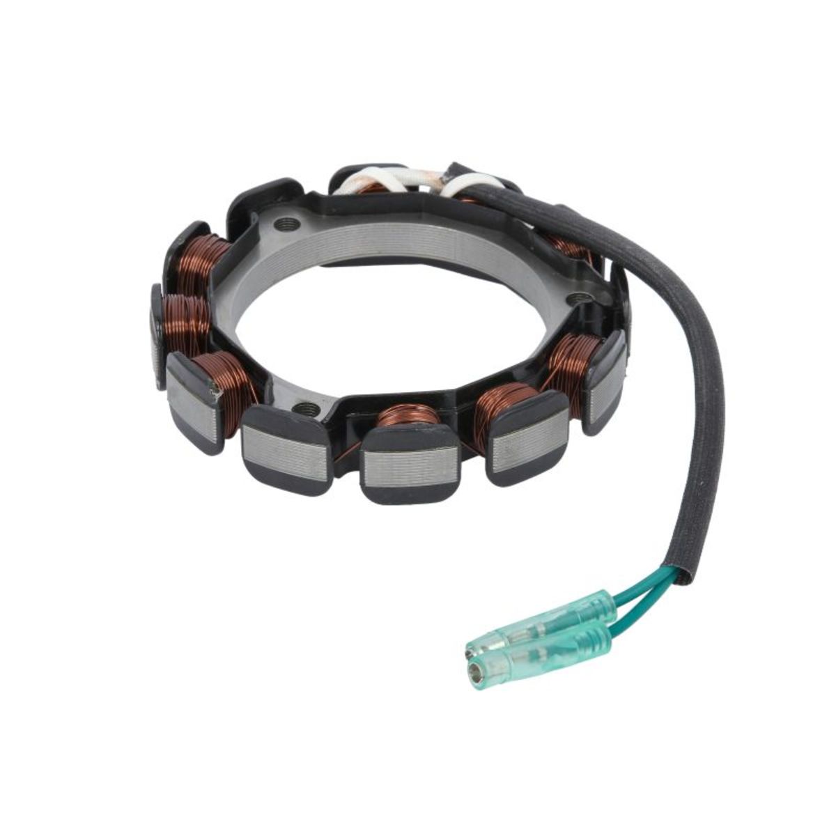 Image of Dynamo stator