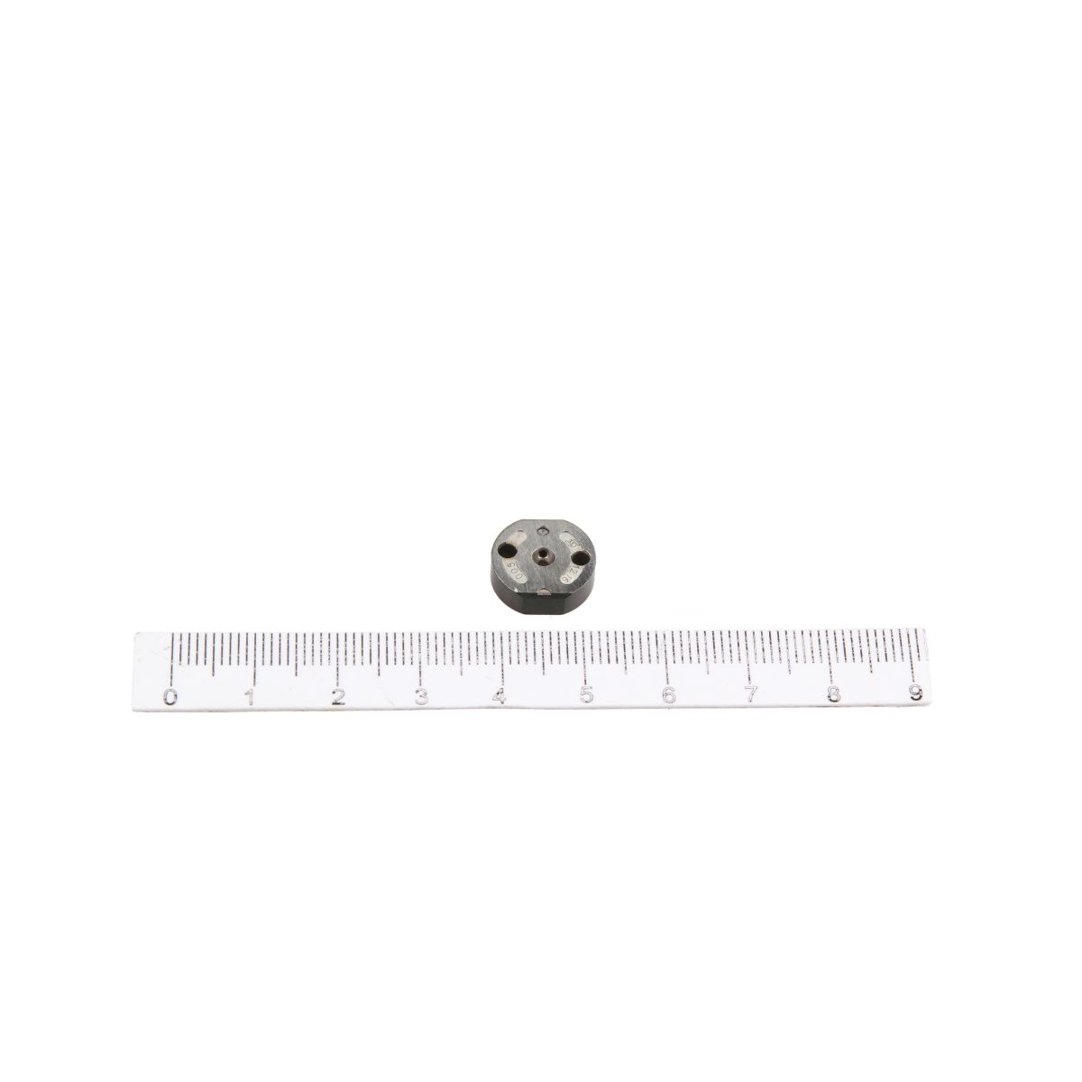 Image of Verstuiverneus