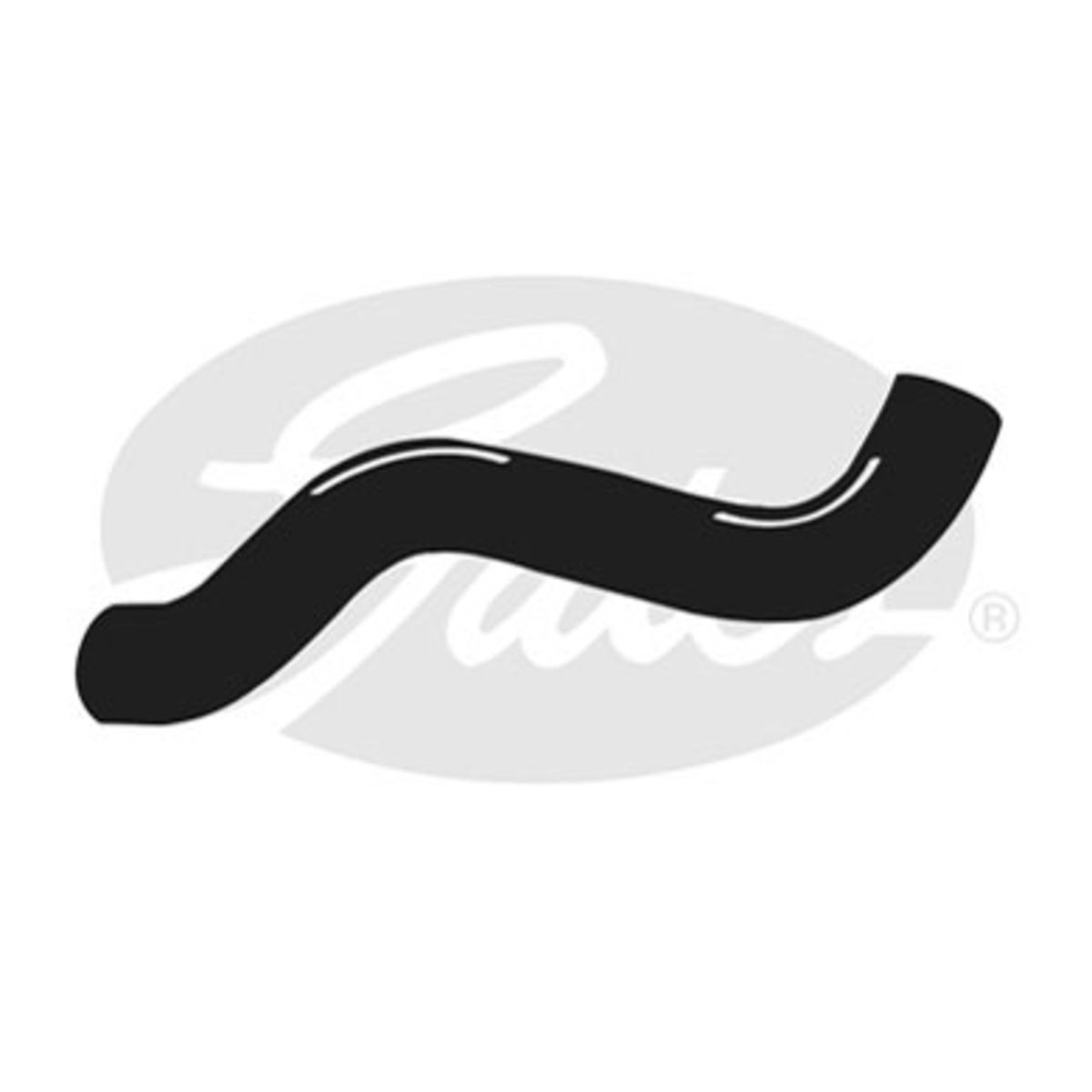 Image of Radiatorslang