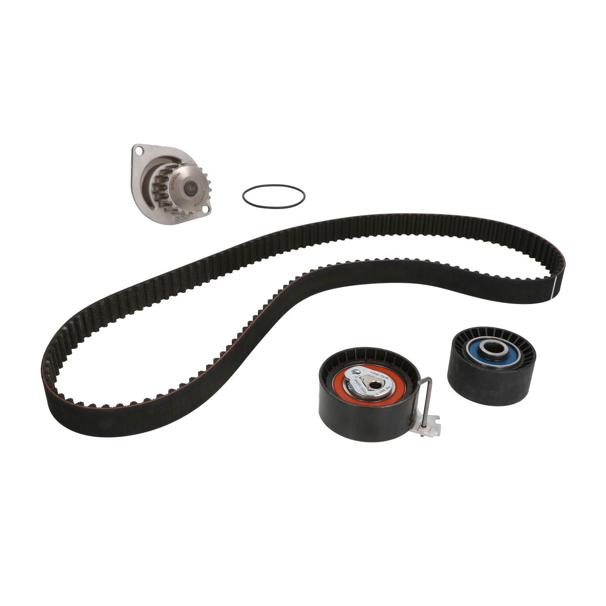 Pompa dell'acqua + kit cinghia di distribuzione SKF VKMC 03256