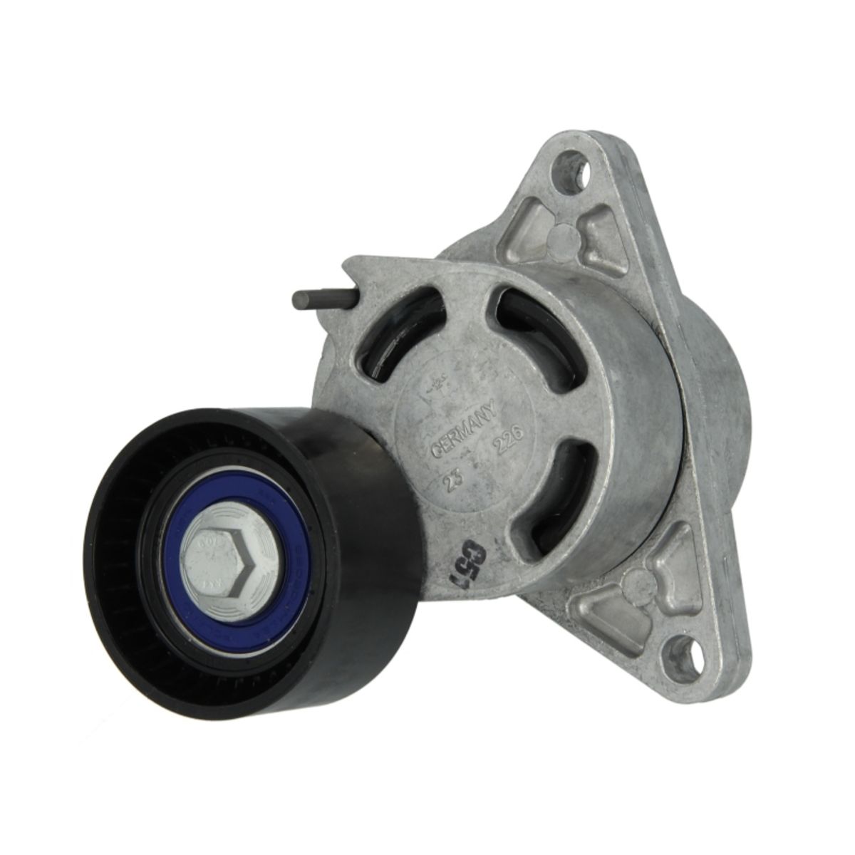 Image of Spanpoelie, V-riem