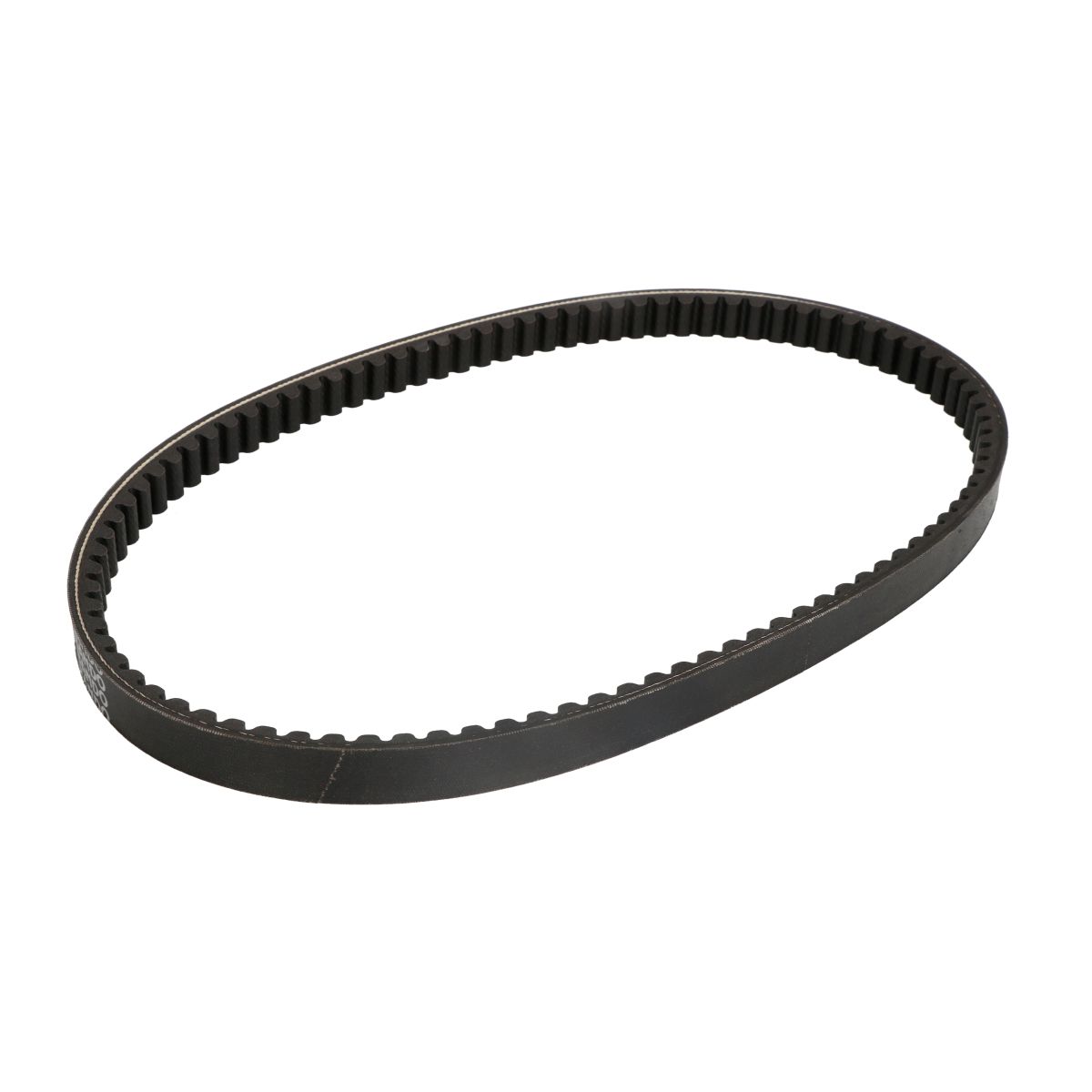 Cinghia di trasmissione ATHENA S41PLAT083