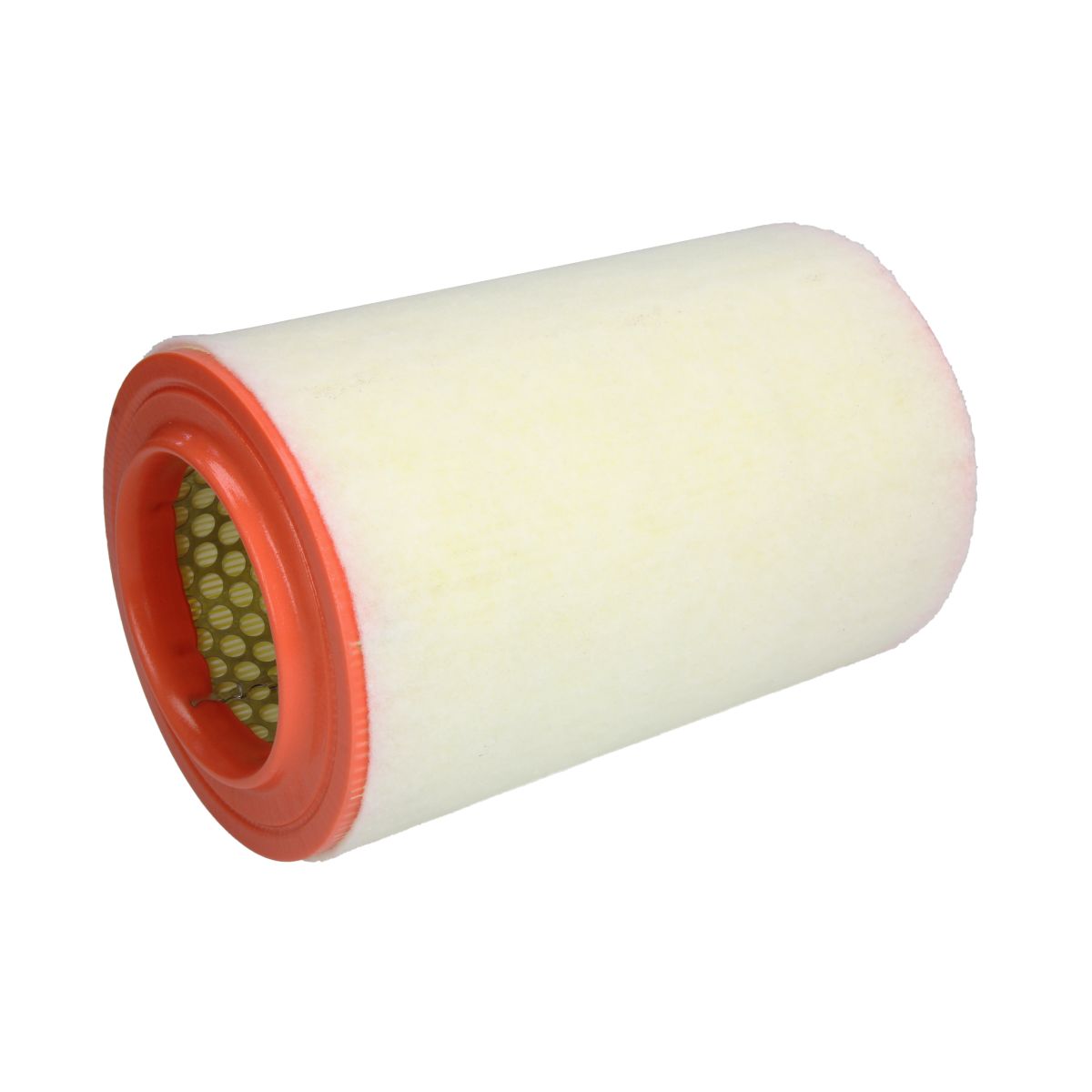 Filtron Filtro Aria Ar234/6