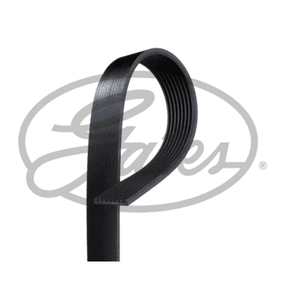Image of Poly V-riem  GAT