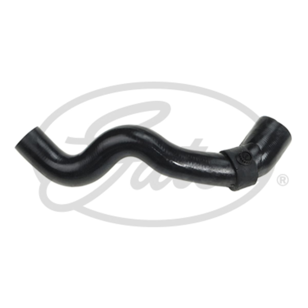 Radiatorslang