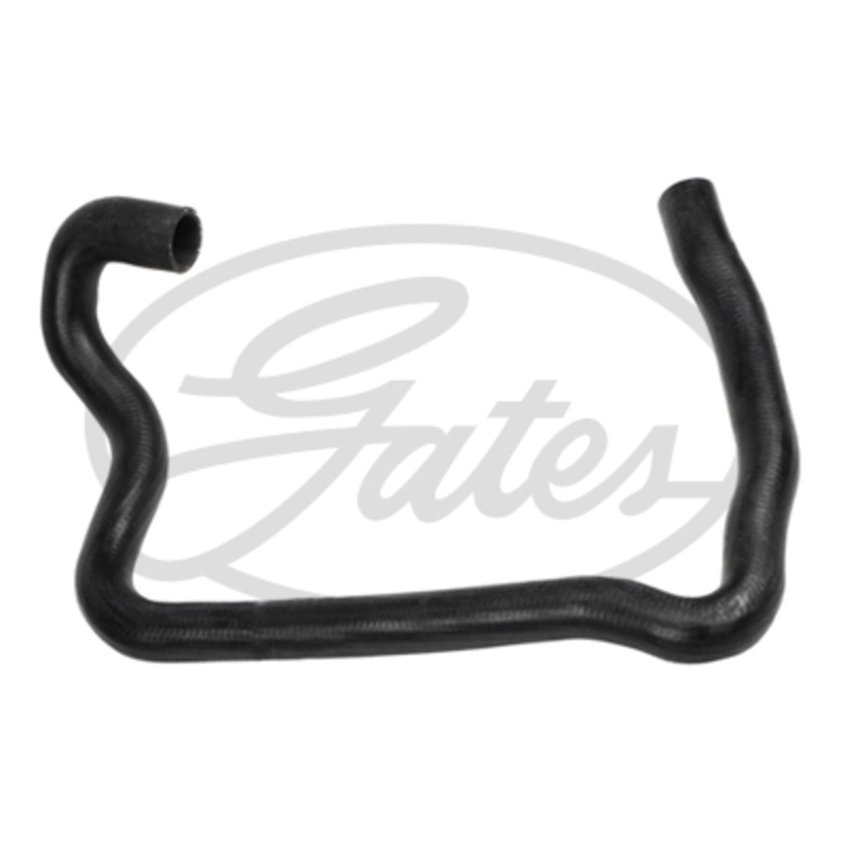Image of Radiatorslang