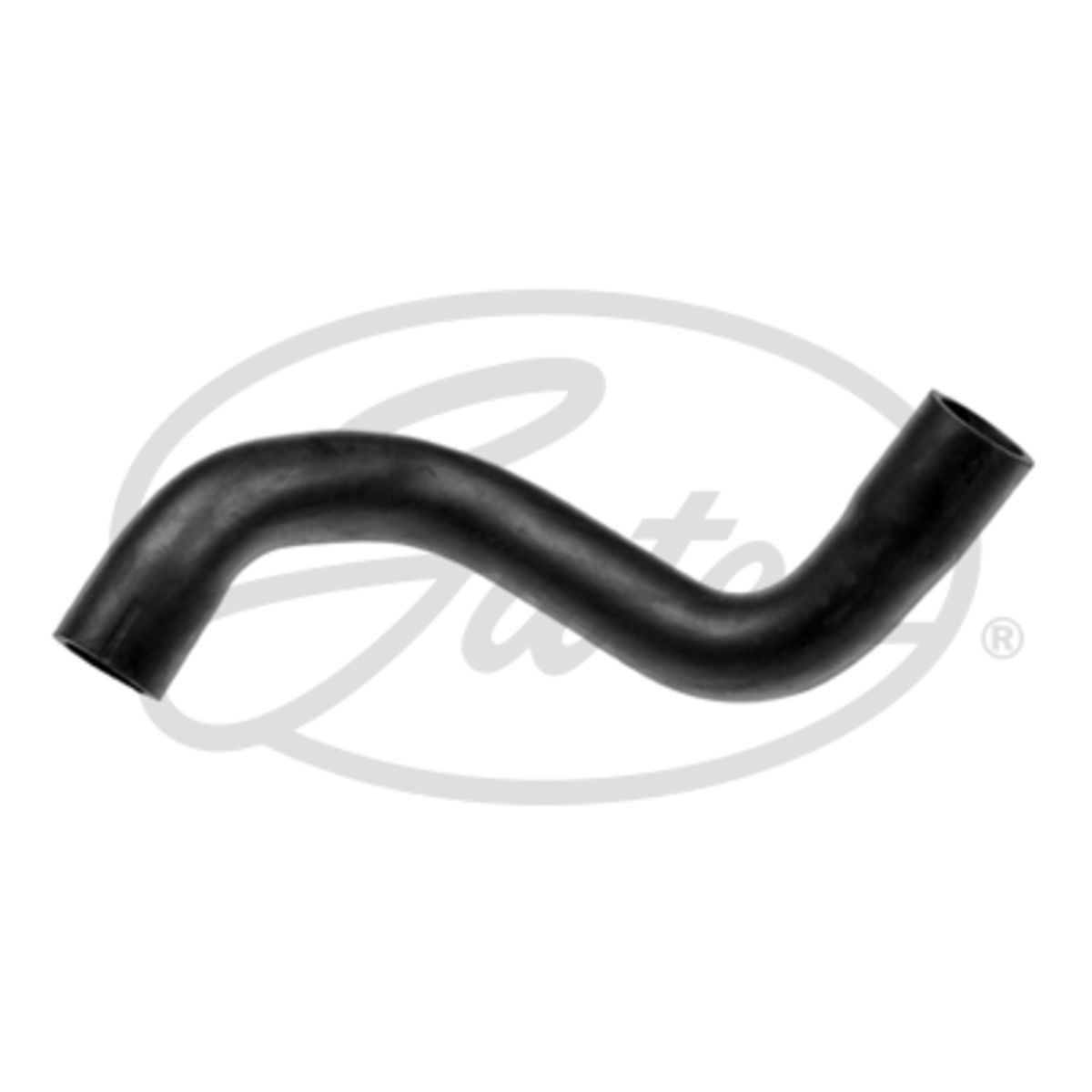 Image of Radiatorslang