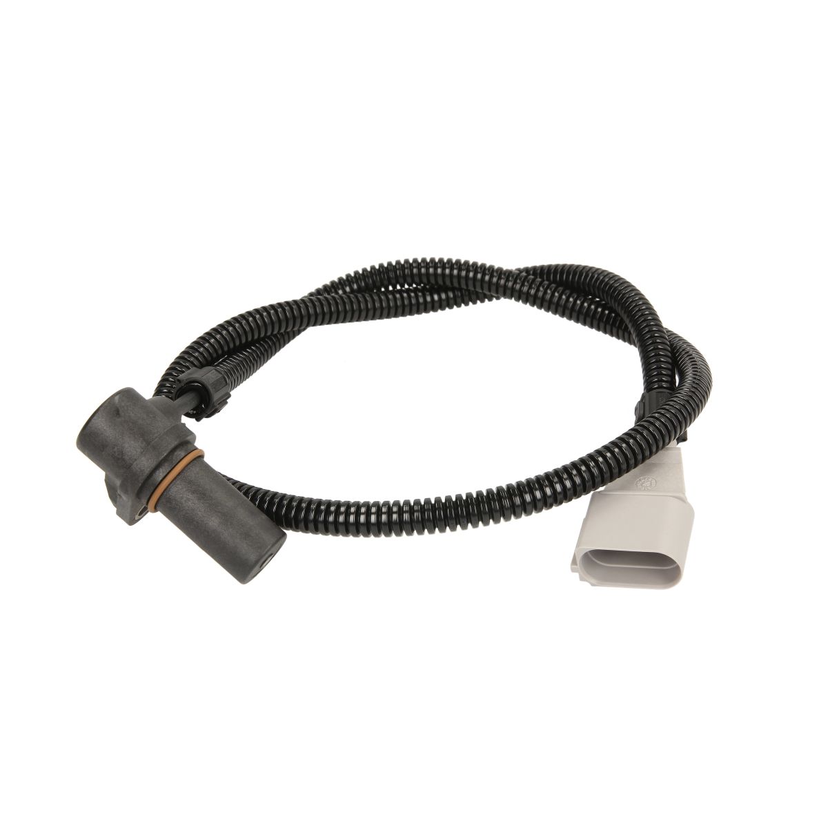 Image of Krukassensor