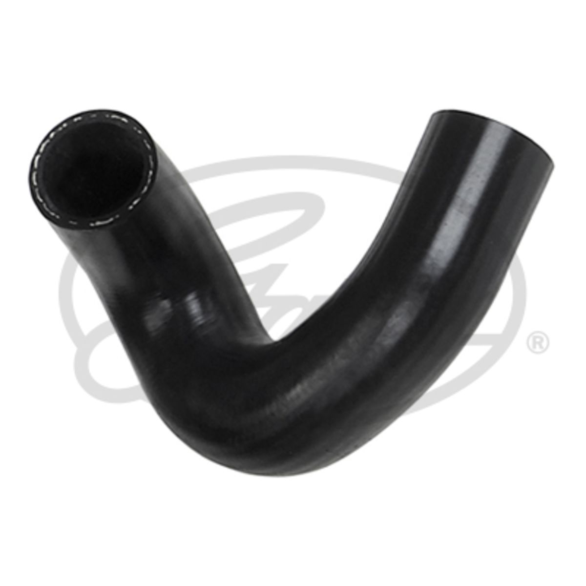 Image of Radiatorslang