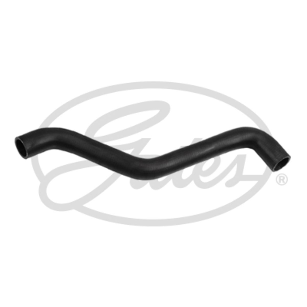 Image of Radiatorslang