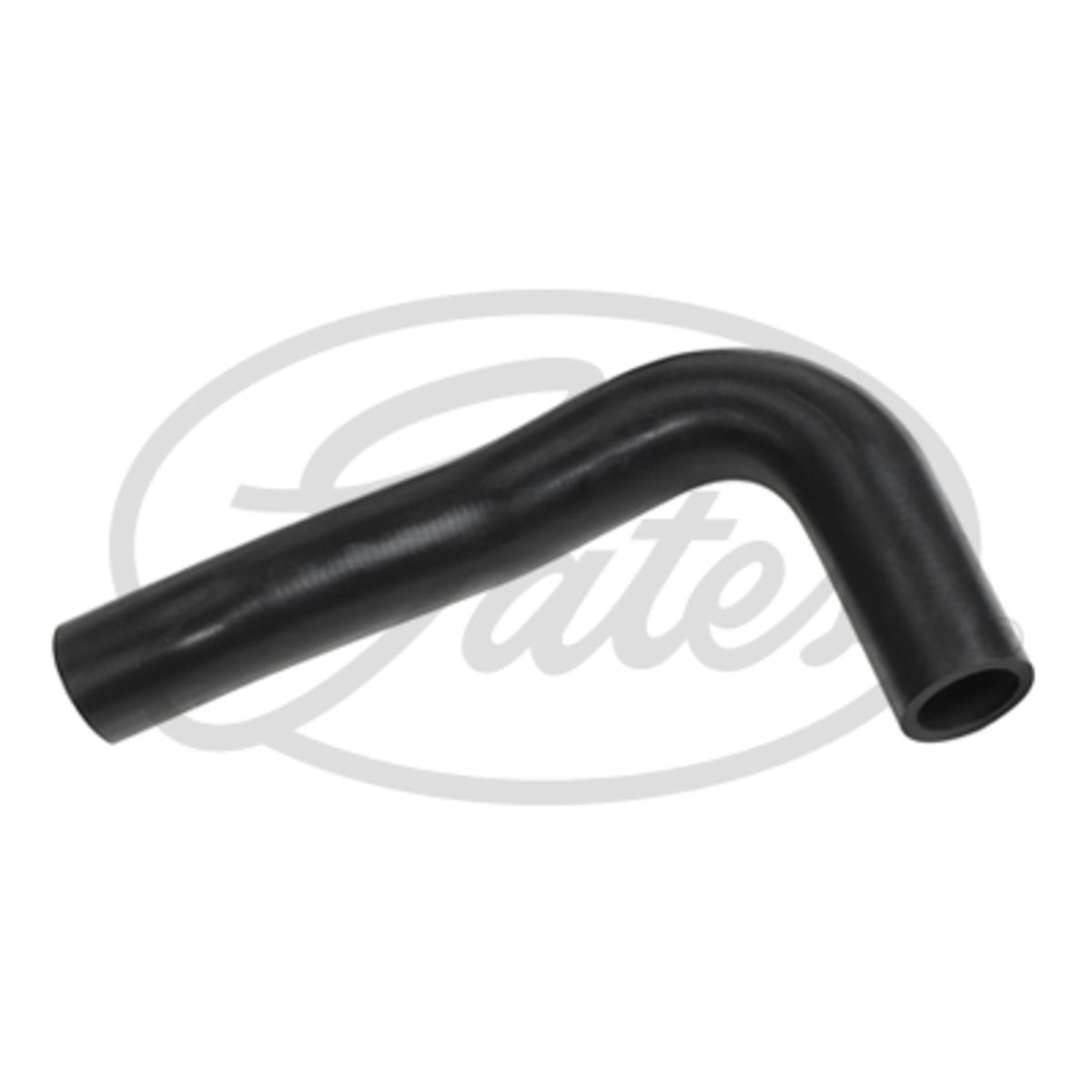 Image of Radiatorslang