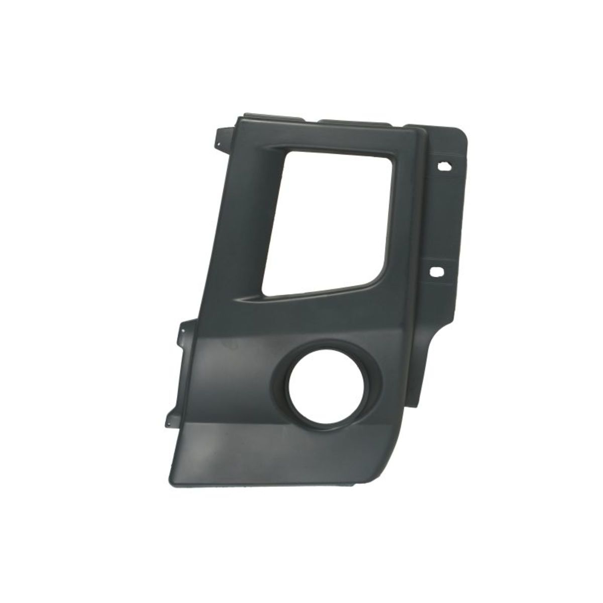 Moldura Protectora/decorativa, parachoques PACOL RVI-SP-012L derecha