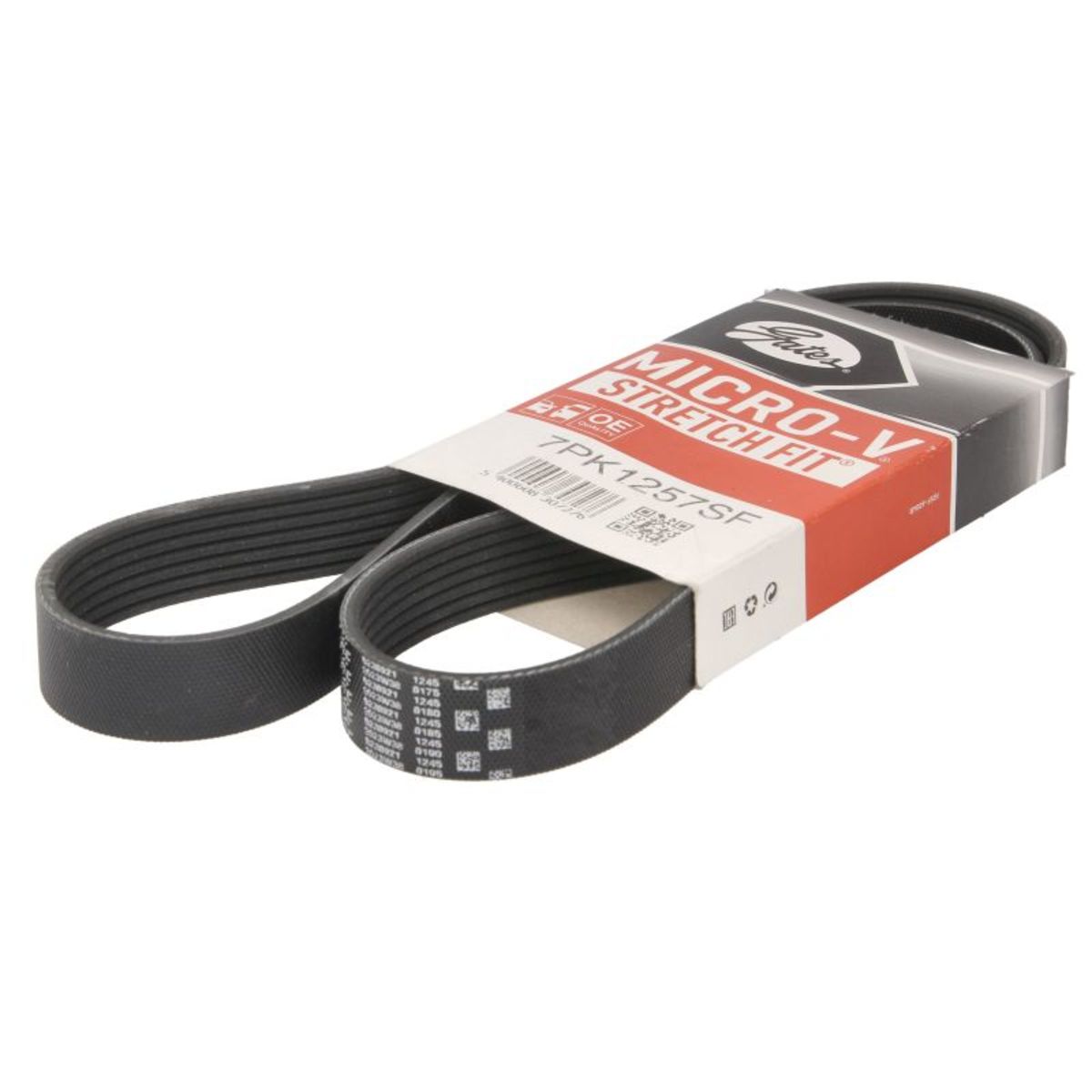 Nero Cinghia Poly-V Gates 7Pk1257sf