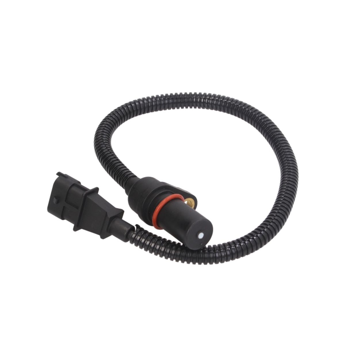 Image of Krukassensor
