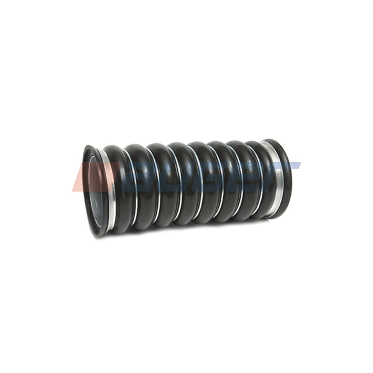 Image of Radiateurslang