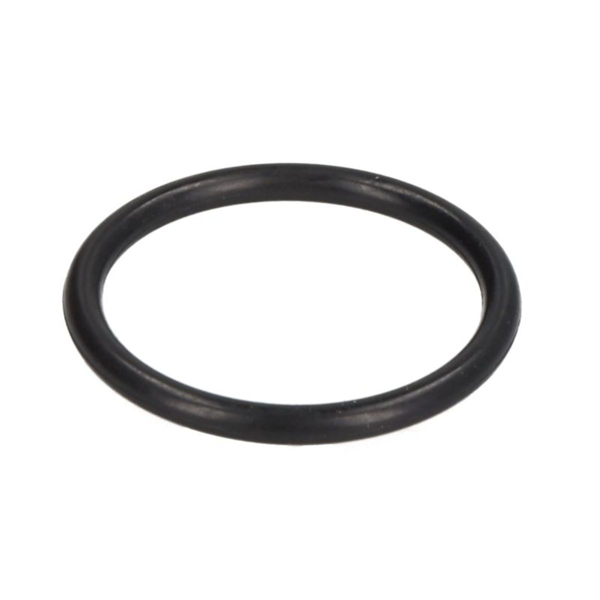 Image of O-ring brandstofpomp