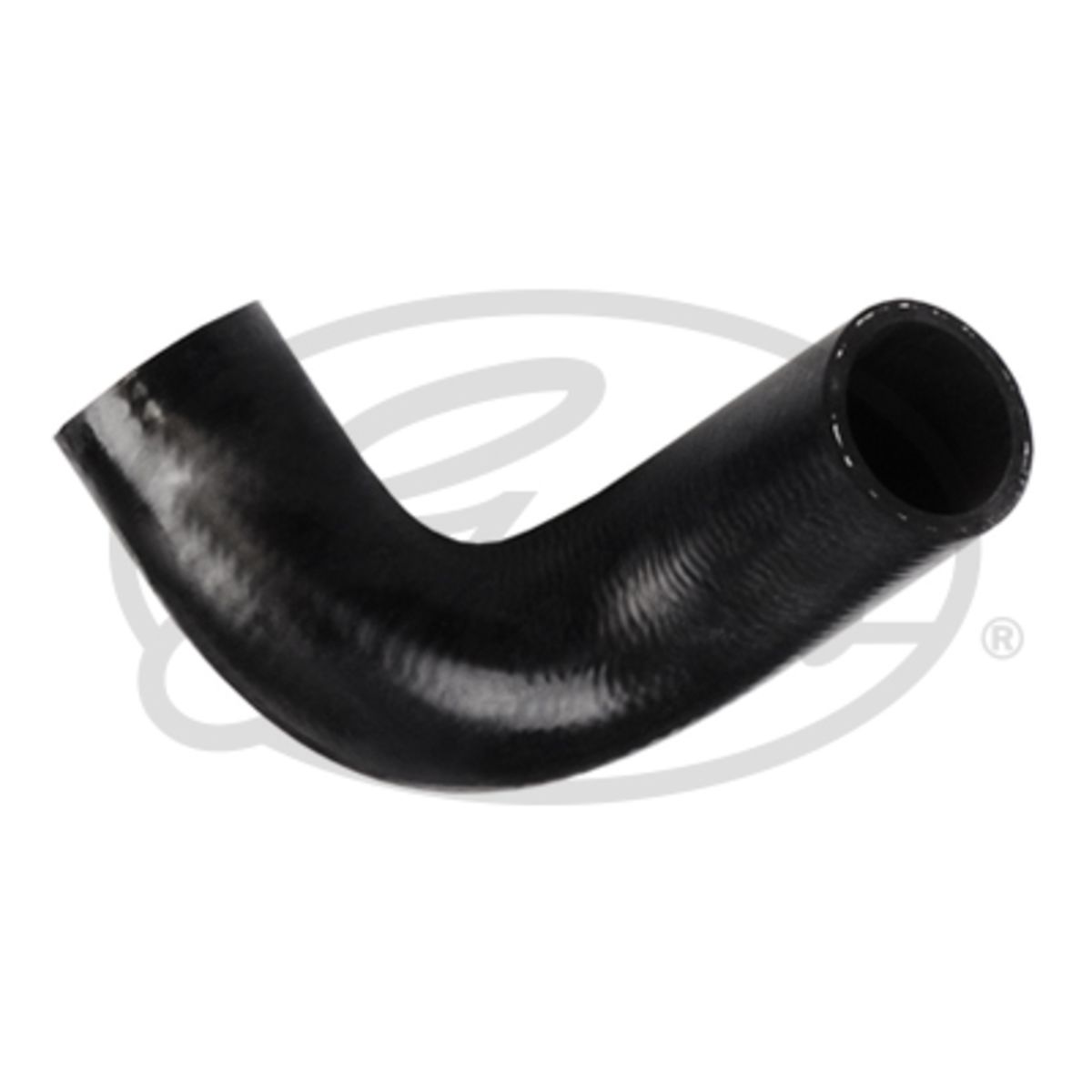 Image of Radiatorslang