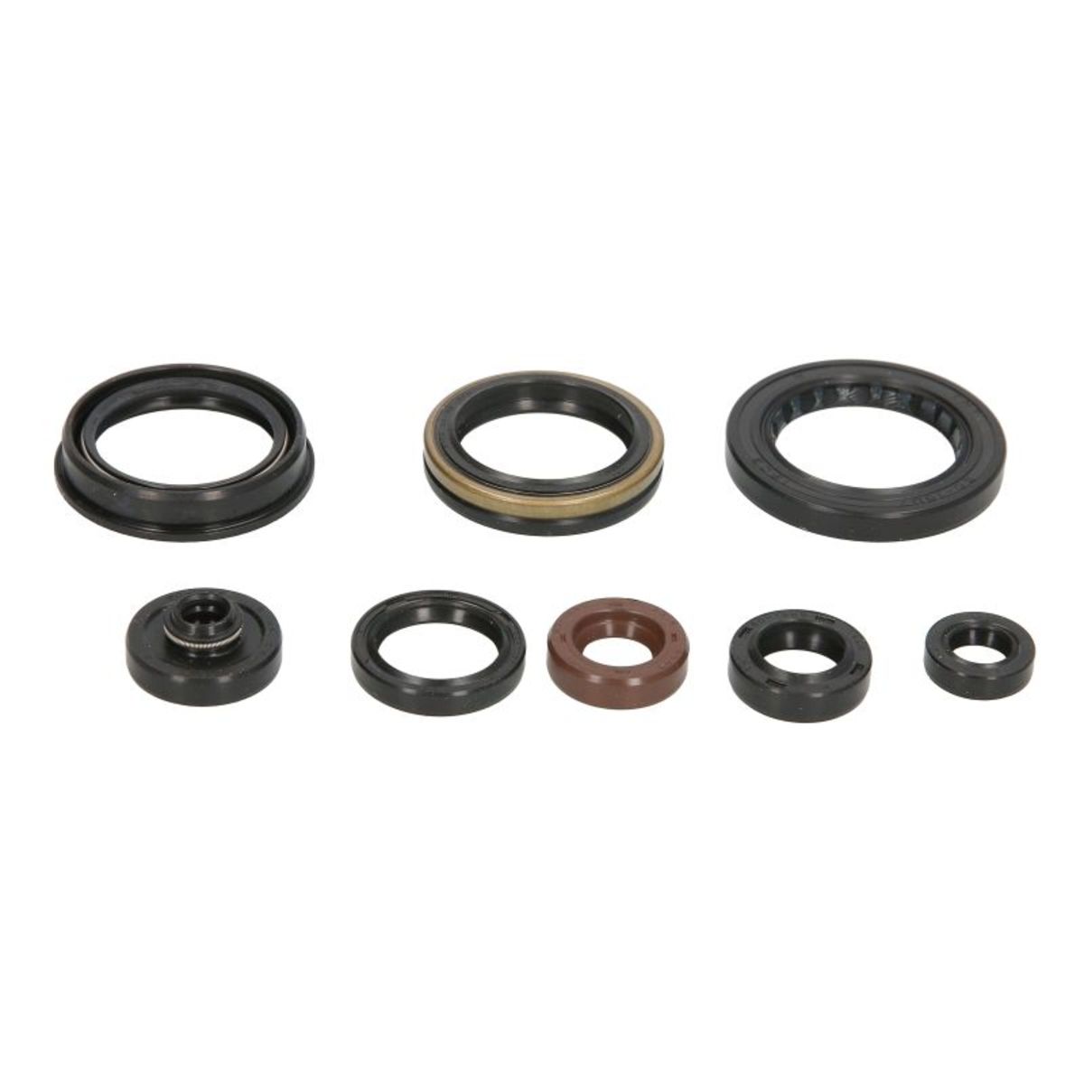 Motorsimmerringsatz WINDEROSA W822346