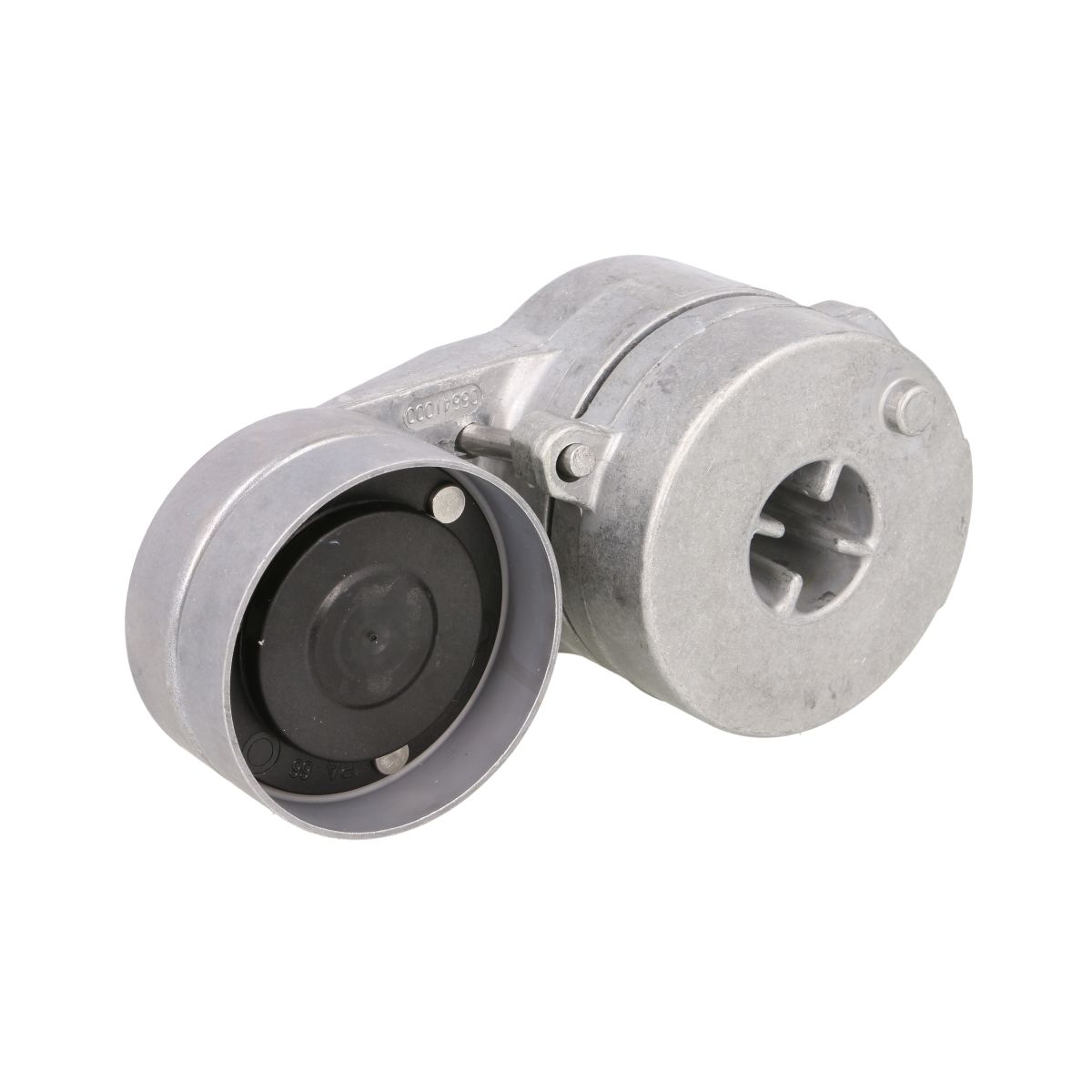 Image of Spanpoelie, V-riem