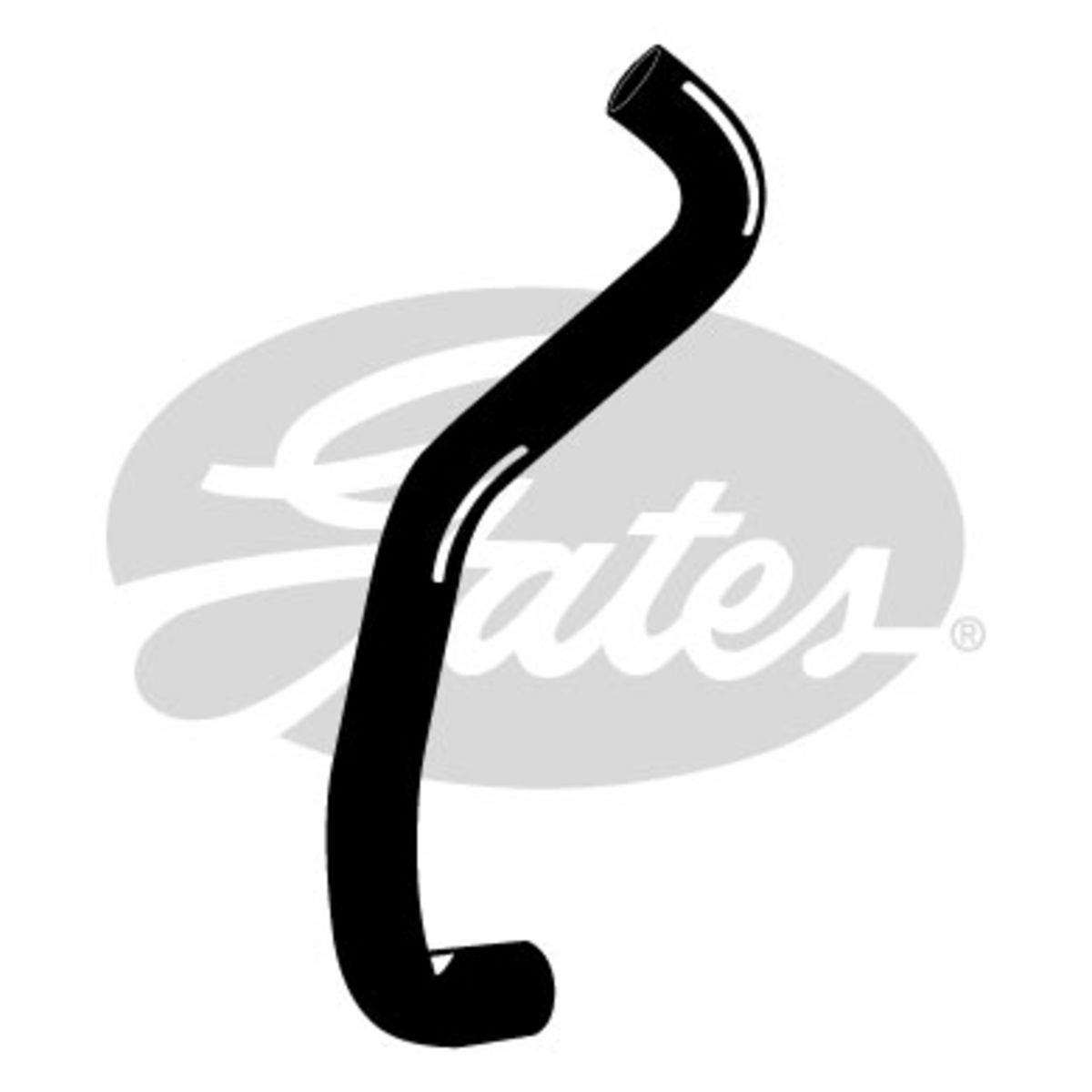 Image of Radiatorslang
