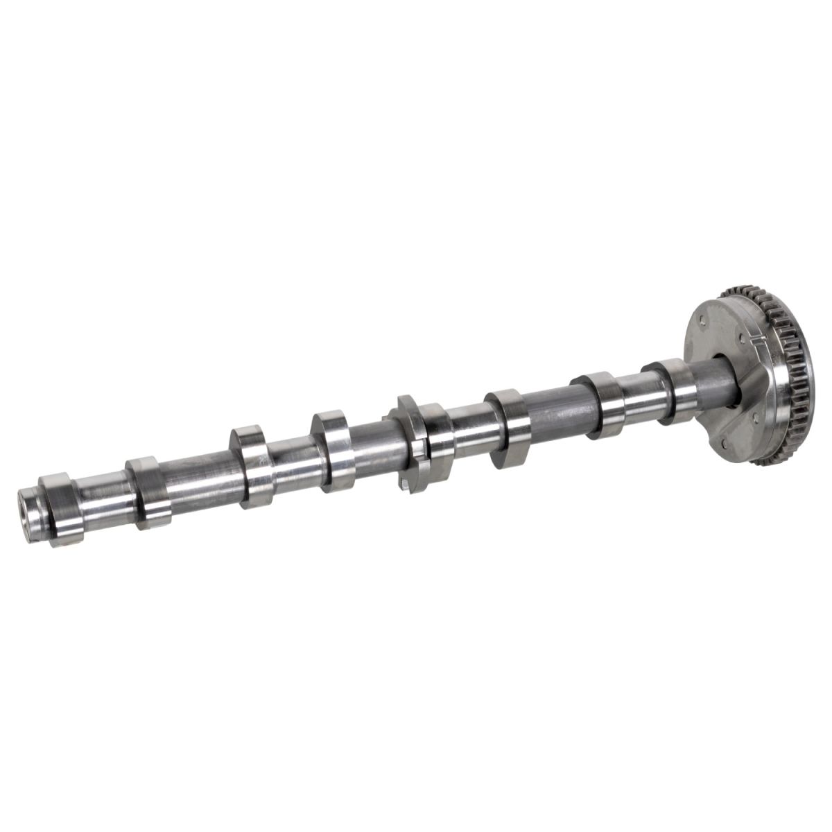 Nokkenas   BILSTEIN
