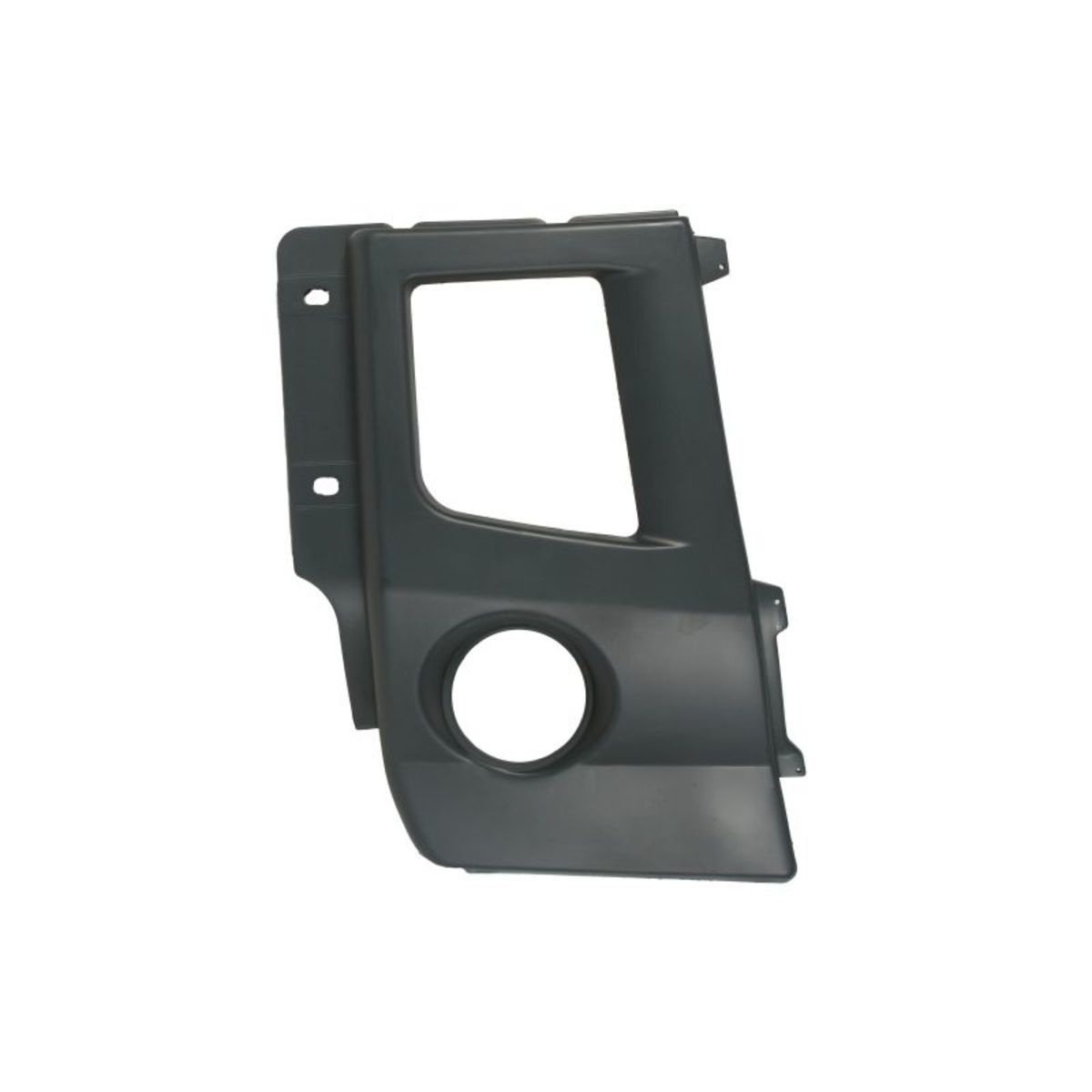 Moldura Protectora/decorativa, parachoques PACOL RVI-SP-012R derecha