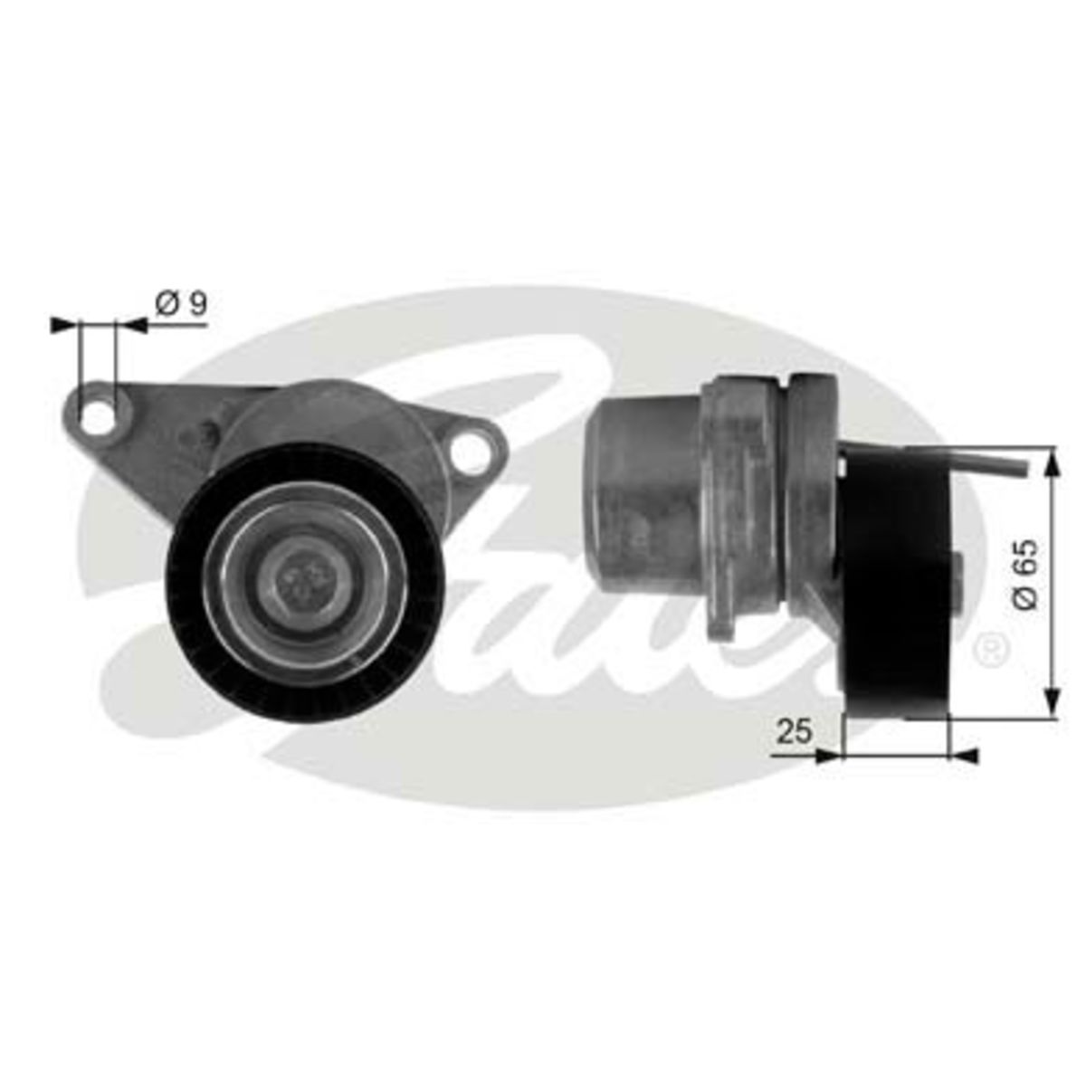 Image of Spanpoelie, V-riem