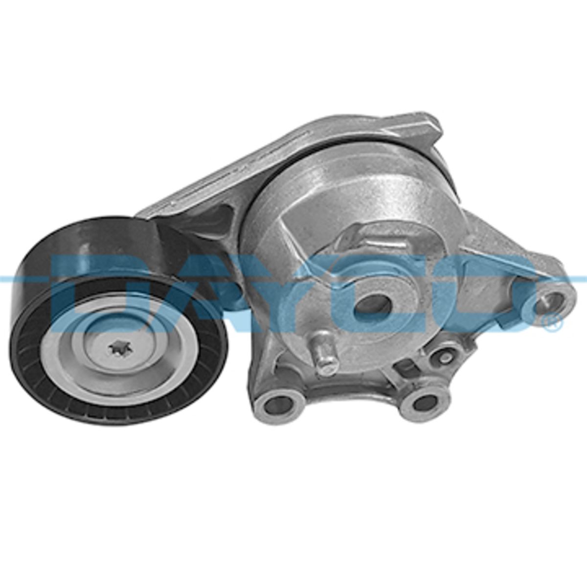 Image of Riemspanner, Poly V-riem