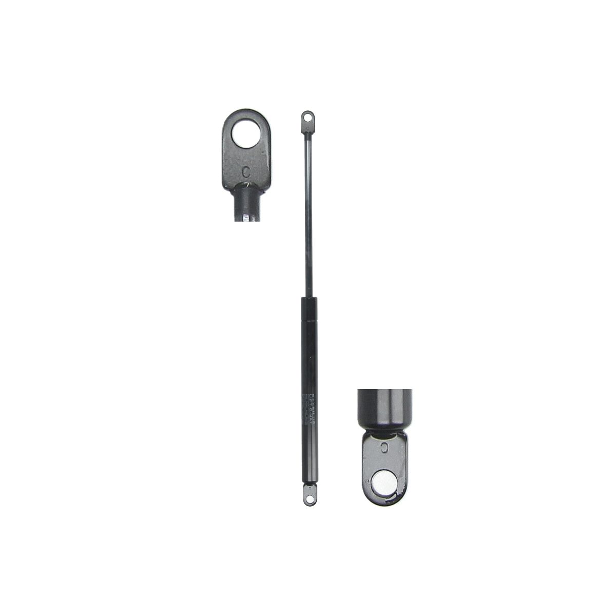 Gasfeder, Koffer-/Laderaum STABILUS STA084476