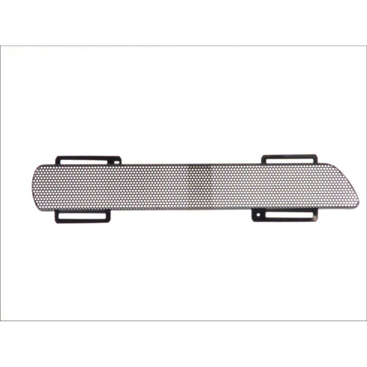 Image of Bumper   rechts