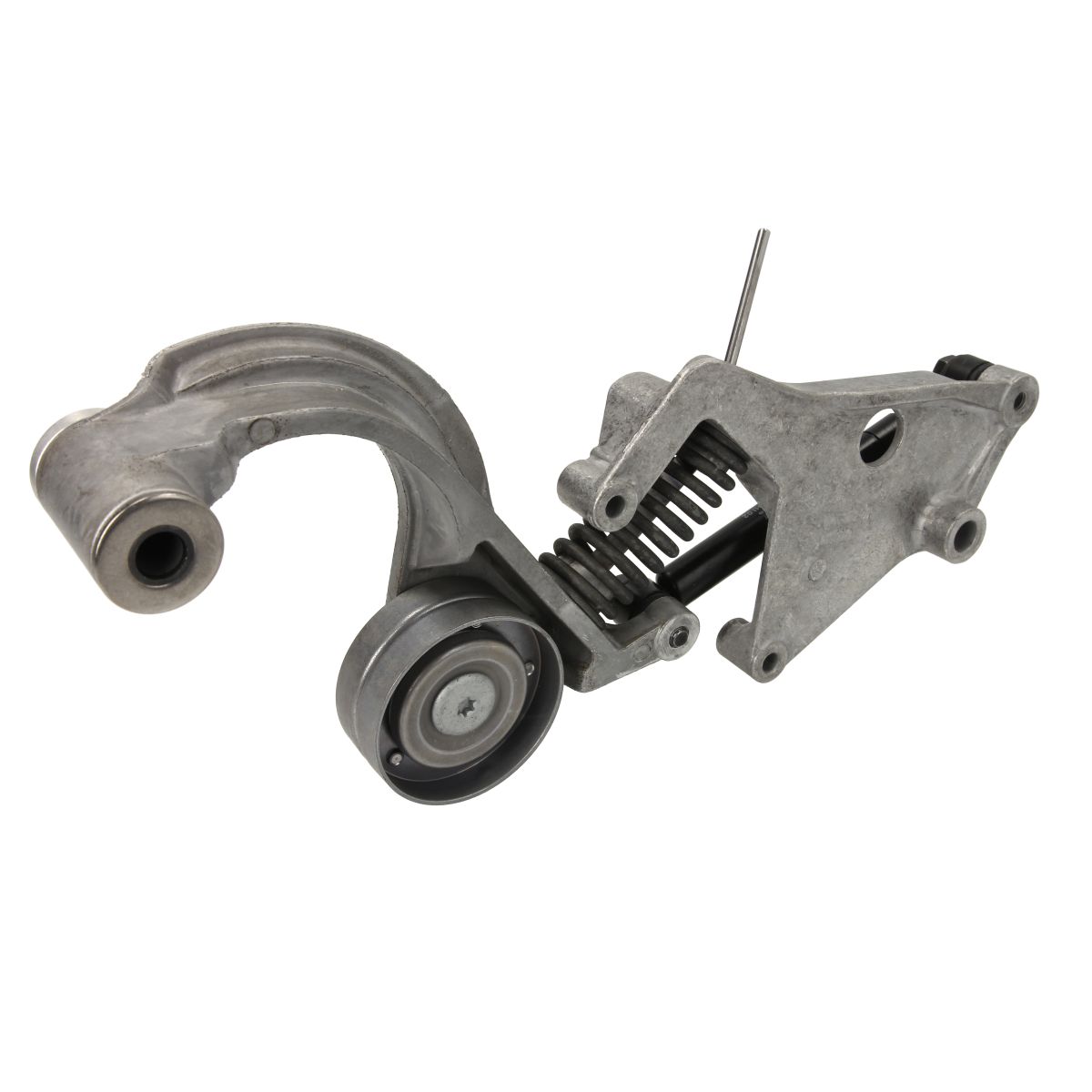 Image of Spanpoelie, V-riem