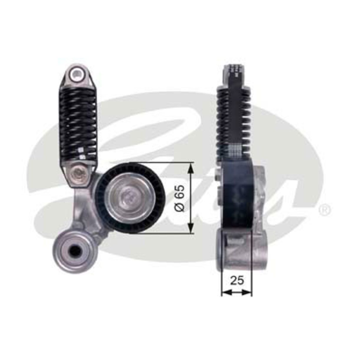 Image of Spanpoelie, V-riem
