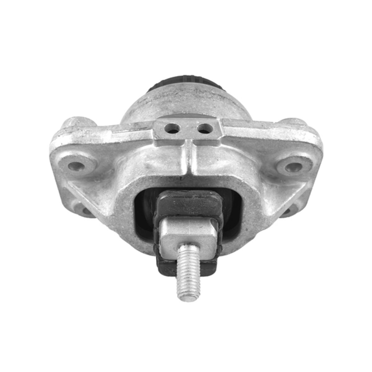 Image of Rubber carrosserie, motorophanging