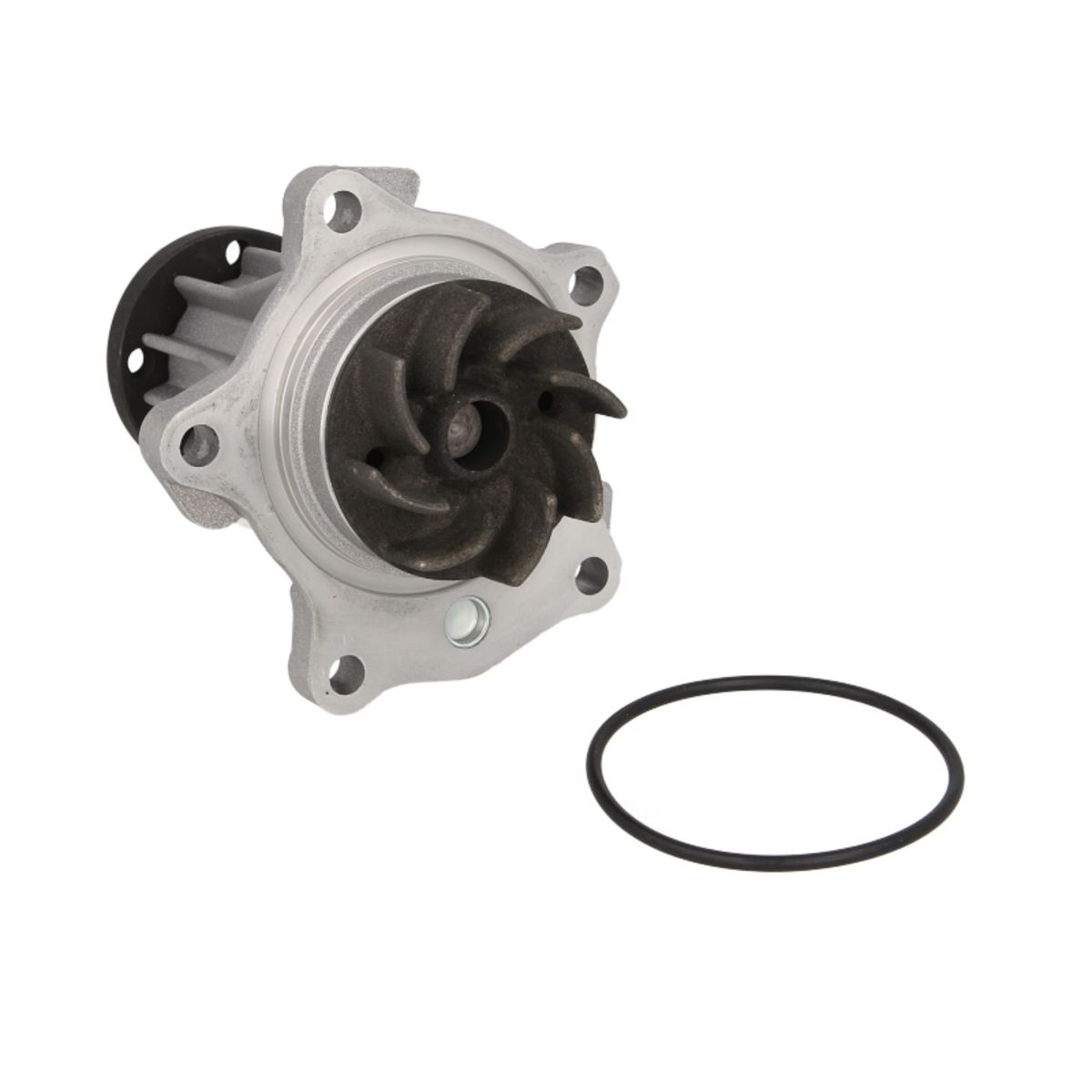 Hepu Pompa Dell'acqua P220