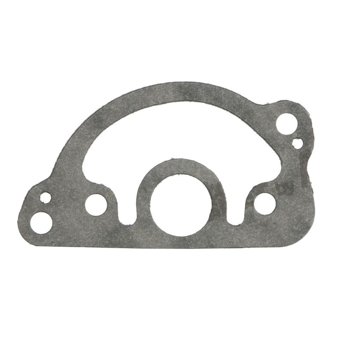 Lischtmaschinengehäusedichtung ATHENA S410195017011
