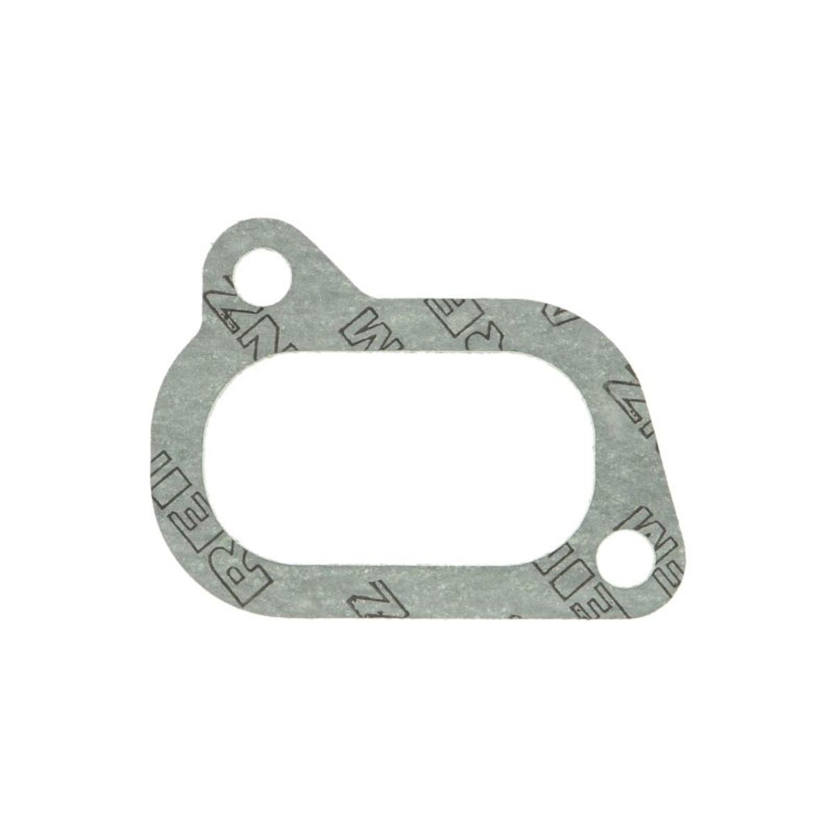 Reinz Pakking, inlaatspruitstuk  71-28323-00