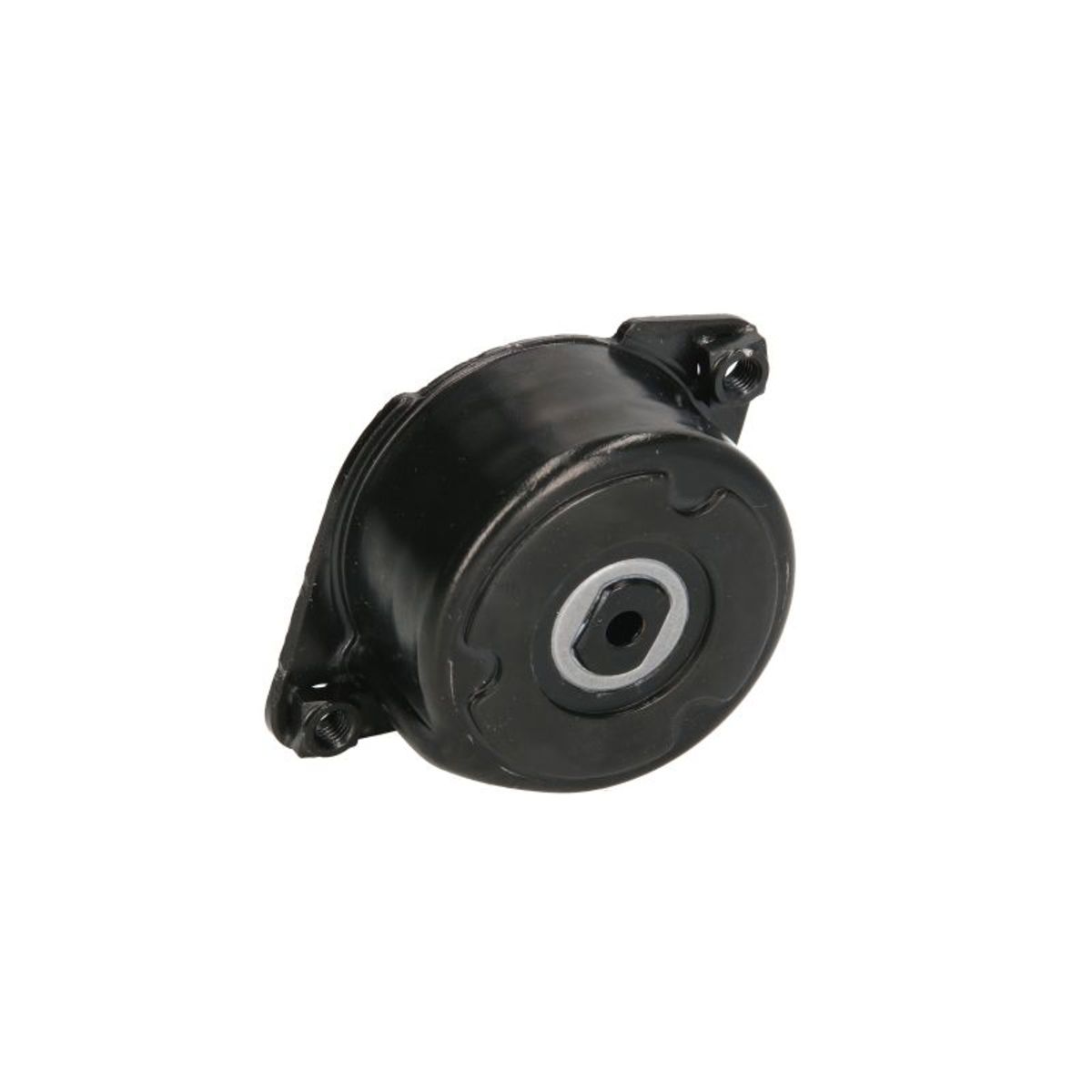 Snr Tendicinghia, Cinghia A V Ga350.52