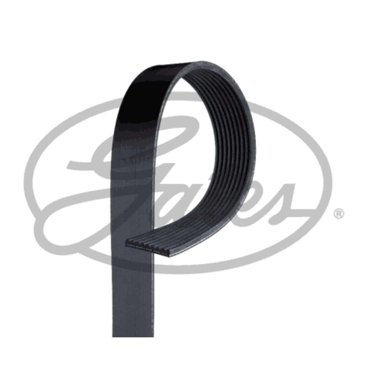 Image of V-riem