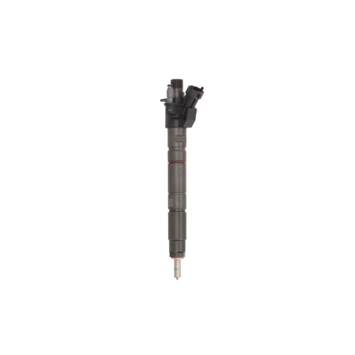 Image of Verstuiverneus