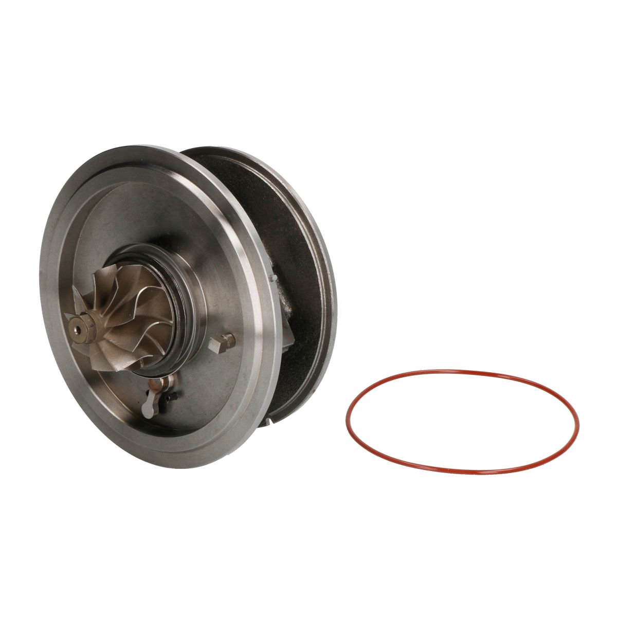Image of Patroon / CHRA / kernassemblage