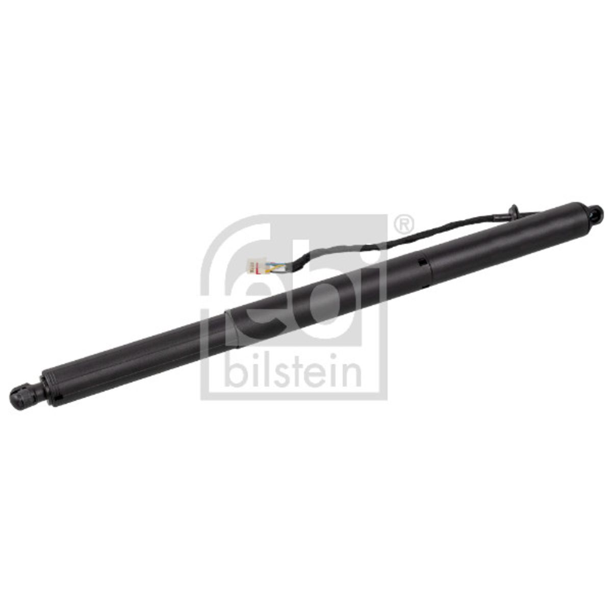 Image of Gasveer kofferbak/laadruimte  BILSTEIN